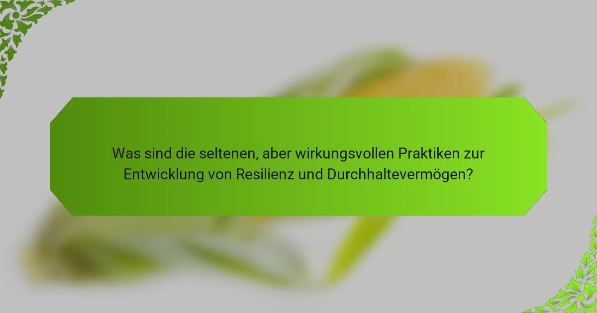 Was sind die seltenen, aber wirkungsvollen Praktiken zur Entwicklung von Resilienz und Durchhaltevermögen?