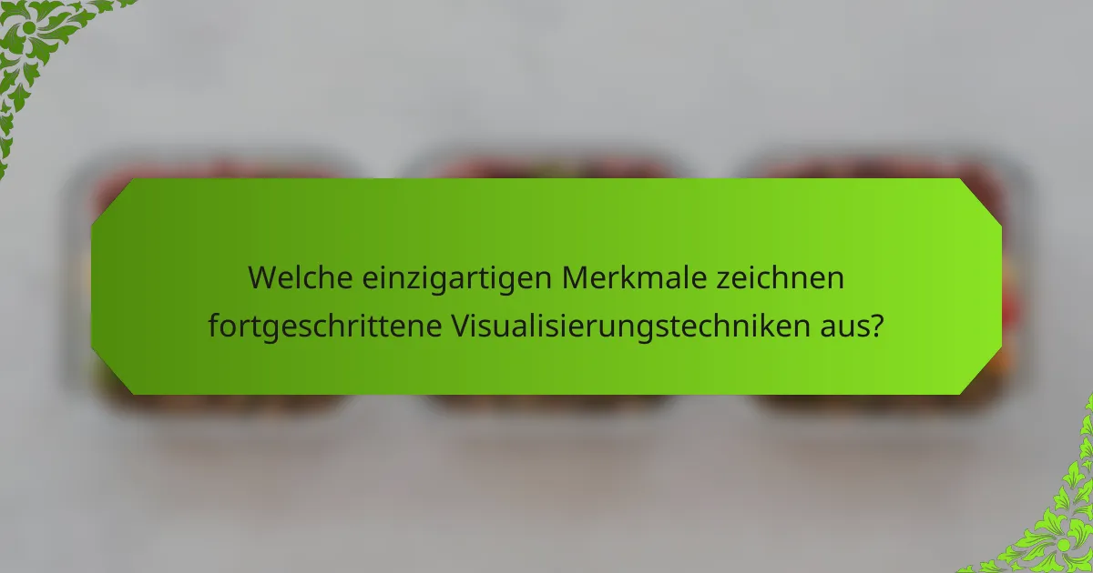 Welche einzigartigen Merkmale zeichnen fortgeschrittene Visualisierungstechniken aus?