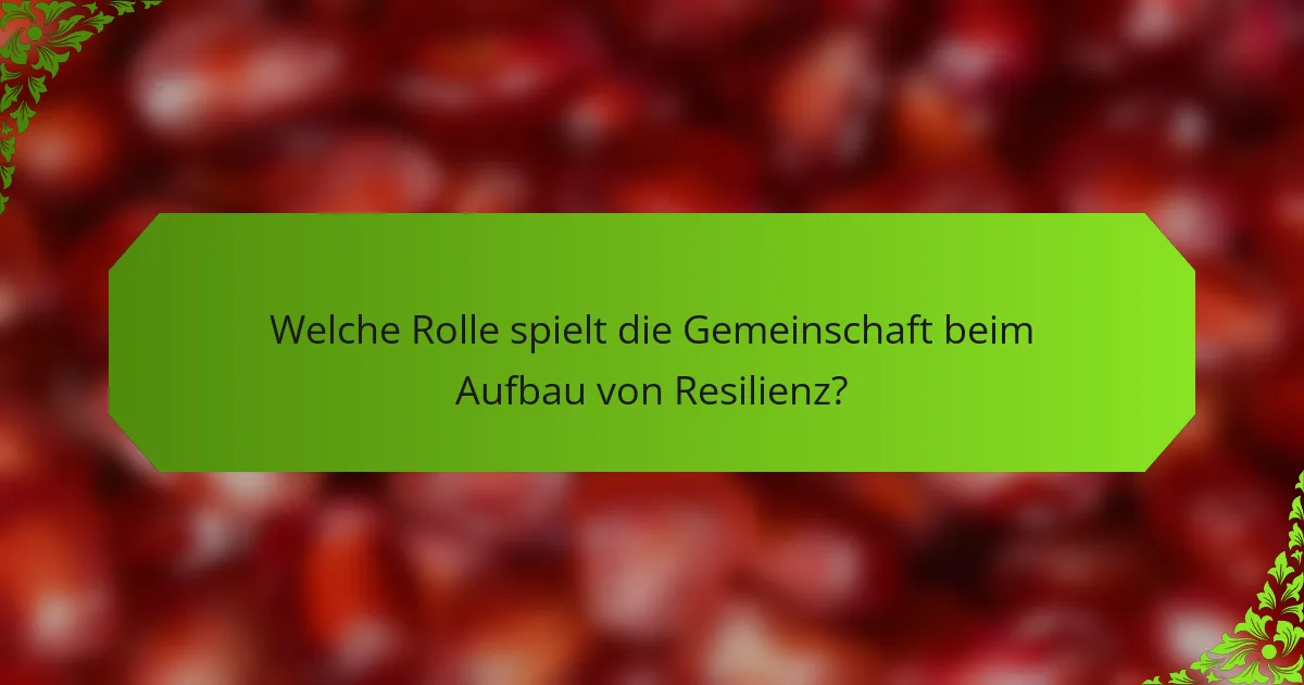 Welche Rolle spielt die Gemeinschaft beim Aufbau von Resilienz?